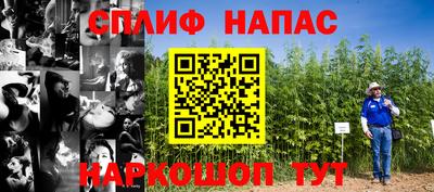 ПСИЛОЦИБИНОВЫЕ ГРИБЫ Новокубанск